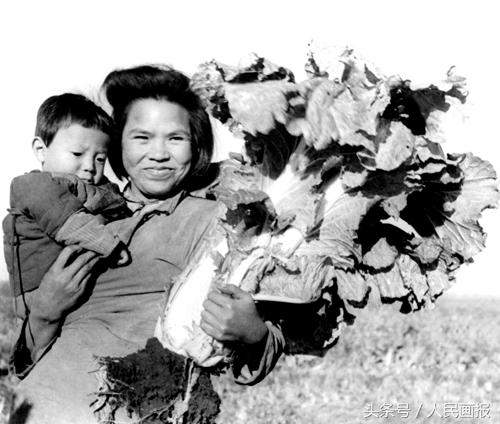 黑龙江土地网，数字化平台助力土地资源管理探索