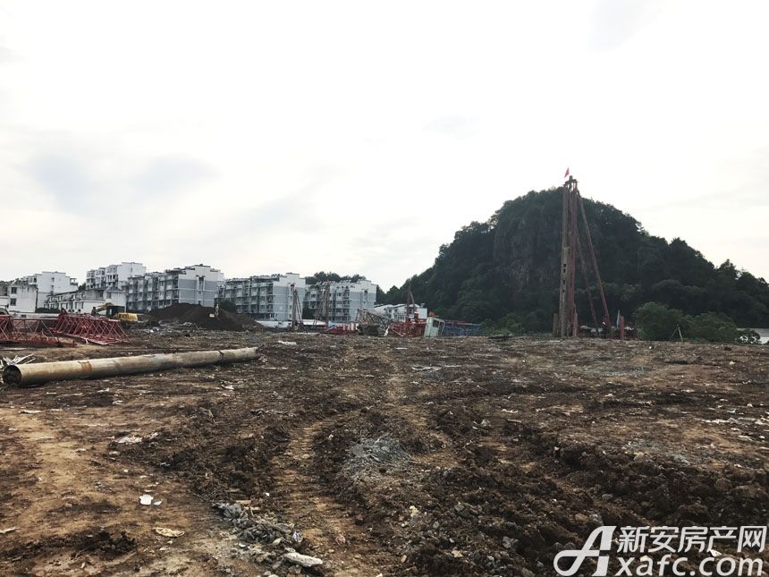 孤狼的吼声 第4页